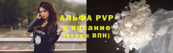 крисы Алзамай