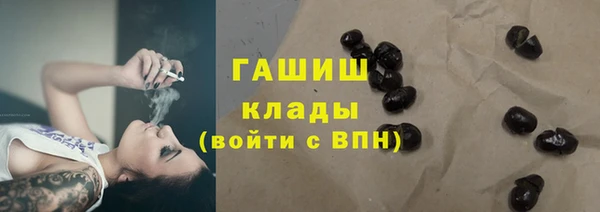 крисы Алзамай