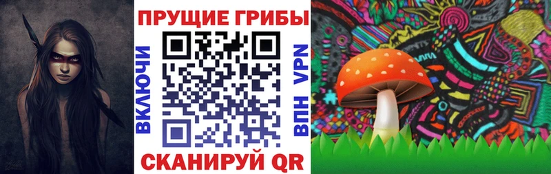 магазин    Волхов  Псилоцибиновые грибы MAGIC MUSHROOMS 