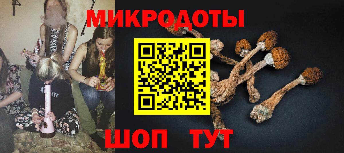Псилоцибиновые грибы Magic Shrooms  Галлюциногенные грибы Magic Shrooms  Волхов  наркотики  Вход с VPN 