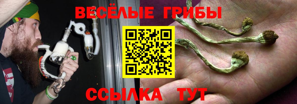 Галлюциногенные грибы мухоморы Волхов