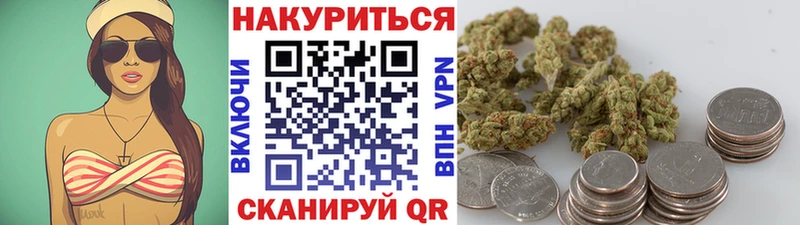 Марихуана сатива  Волхов 